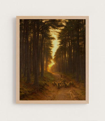 Autumn Sunlight II