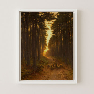 Autumn Sunlight II