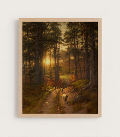 Autumn Sunlight I