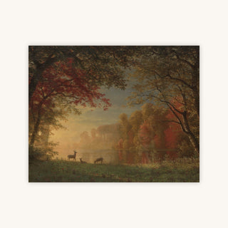 AUTUMN SUNSET — Primary Image