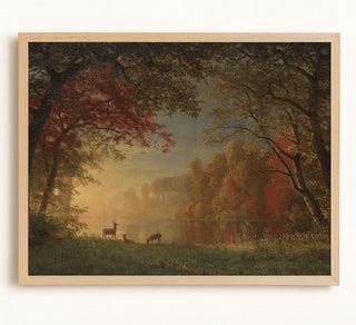 Autumn Sunset