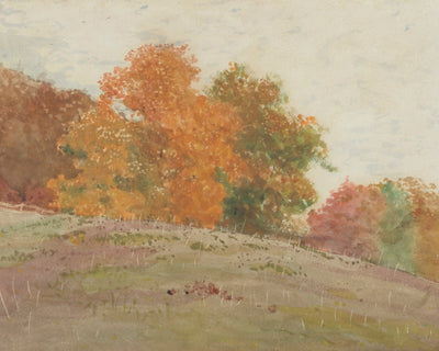 Autumn Trees