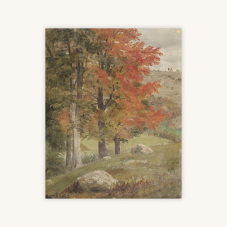 AUTUMN WOODS — Primary Image