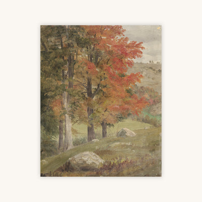 AUTUMN WOODS — Primary Image