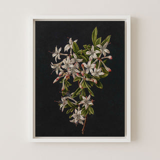 AZALEAS - Museum Quality Art