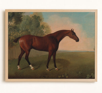 BAY HORSE IN A FIELD - Museum Quality Art