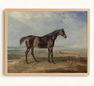 BAY HORSE - Museum Quality Art