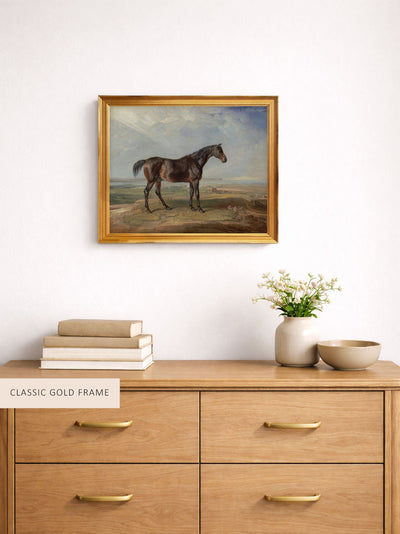 Bay Horse