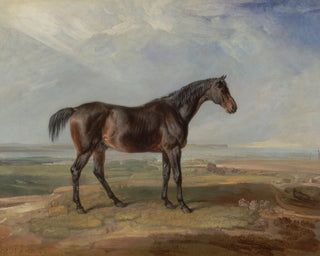 Bay Horse
