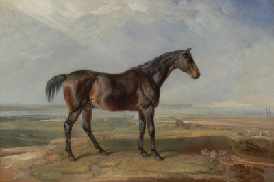 Bay Horse