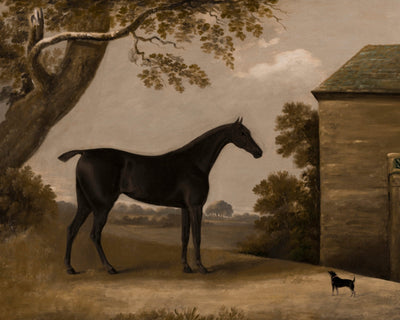 BAY HUNTER AND A TERRIER OUTSIDE A STABLE