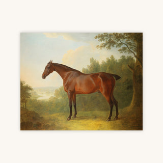 BAY HUNTER IN A LANDSCAPE — Primary Image
