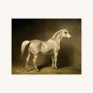 BEATRICE — Primary Image