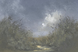 BEAUTY FROM ASHES II