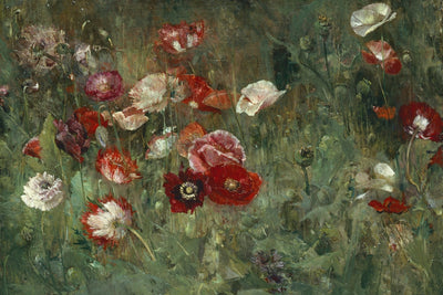 Bed of Poppies