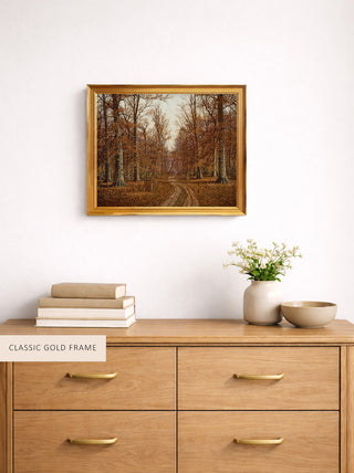 Beech Trees, Autumn