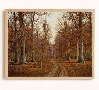 Beech Trees, Autumn
