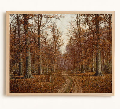 Beech Trees, Autumn