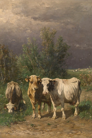 BEFORE THE THUNDERSTORM