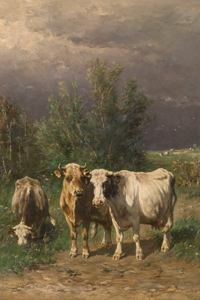 BEFORE THE THUNDERSTORM