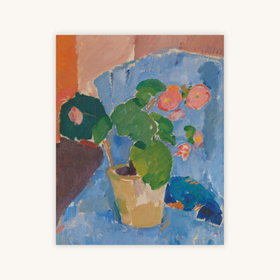 BEGONIA — Primary Image