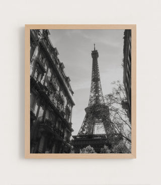 Beneath the Eiffel Tower