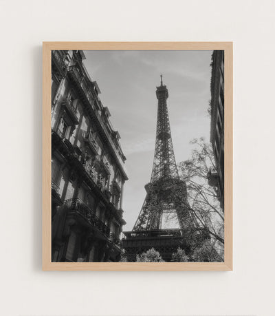 Beneath the Eiffel Tower