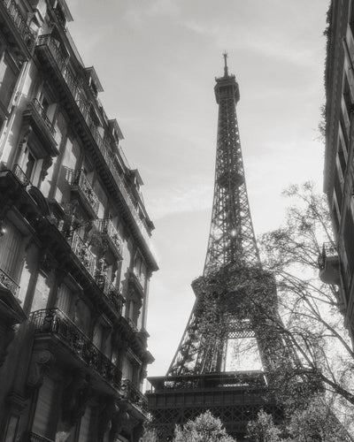 Beneath the Eiffel Tower