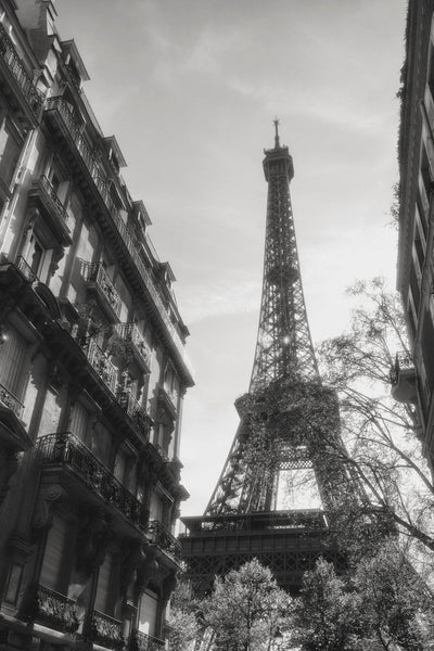 Beneath the Eiffel Tower