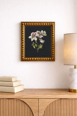 BICOLOR BOTANICAL - Museum Quality Art