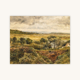 BIDSTON MARSH — Primary Image