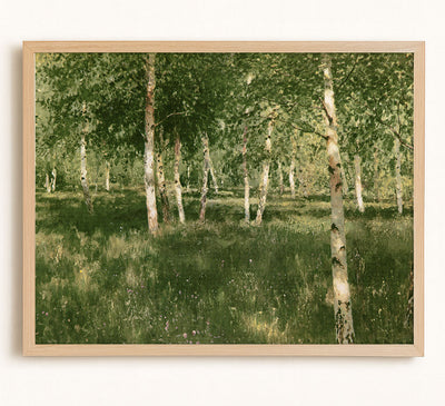 Birch Copse