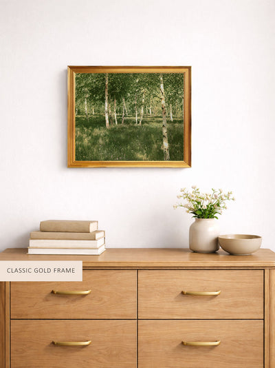 Birch Copse
