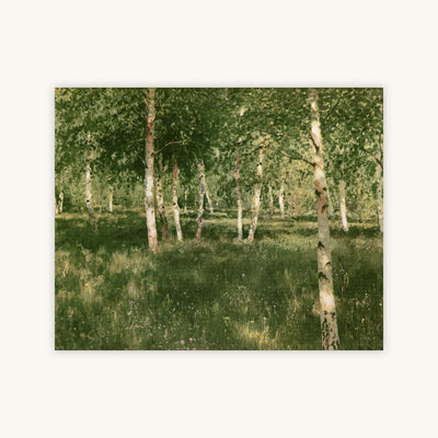 BIRCH COPSE — Primary Image