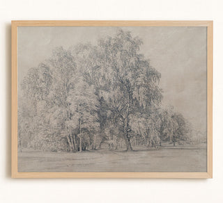 BIRCH PARK - Museum Quality Art