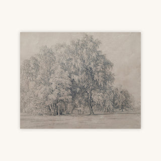 BIRCH PARK — Primary Image