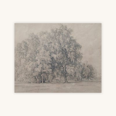 BIRCH PARK — Primary Image