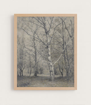 BIRCH TREES - Museum Quality Art