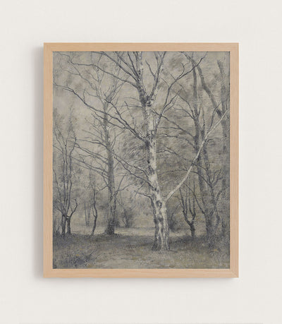 BIRCH TREES - Museum Quality Art