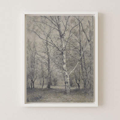 BIRCH TREES - Museum Quality Art
