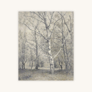 BIRCH TREES — Primary Image