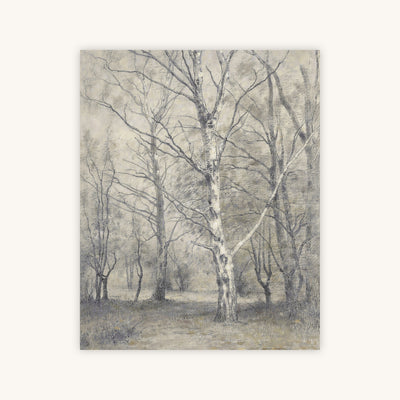 BIRCH TREES — Primary Image