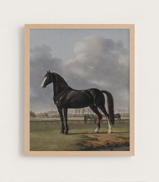 Black Horse