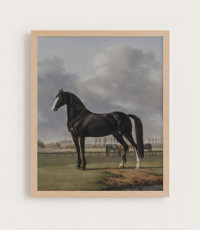 Black Horse