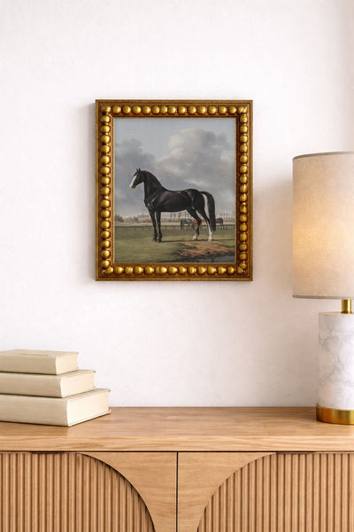 Black Horse
