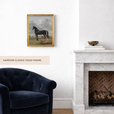 Black Horse