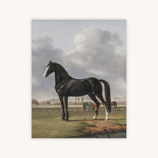 BLACK HORSE — Primary Image