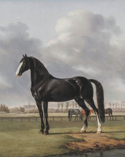 BLACK HORSE