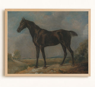 BLACK RIDING HORSE - Museum Quality Art
