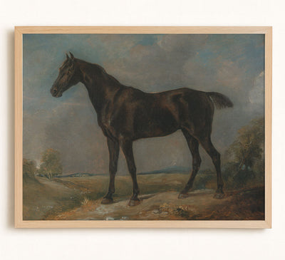 BLACK RIDING HORSE - Museum Quality Art